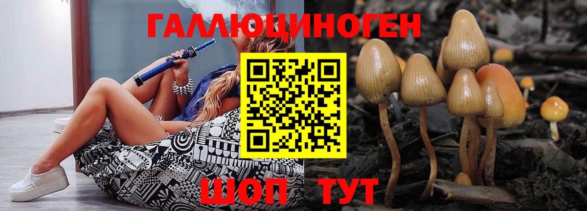 Псилоцибиновые грибы Magic Shrooms Десногорск